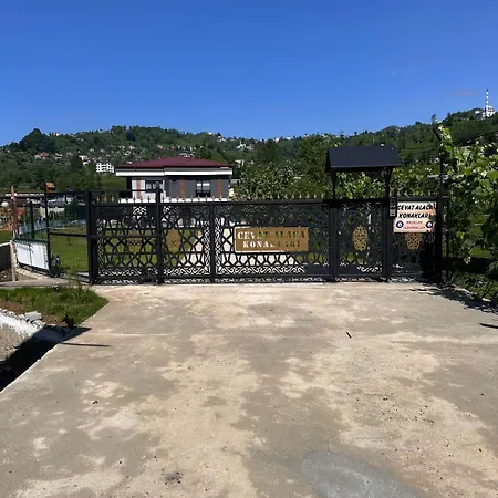 Villa Alaca Konaklari / 5 Bedrooms / Swimming Pool / 3x Airconditioning Rize